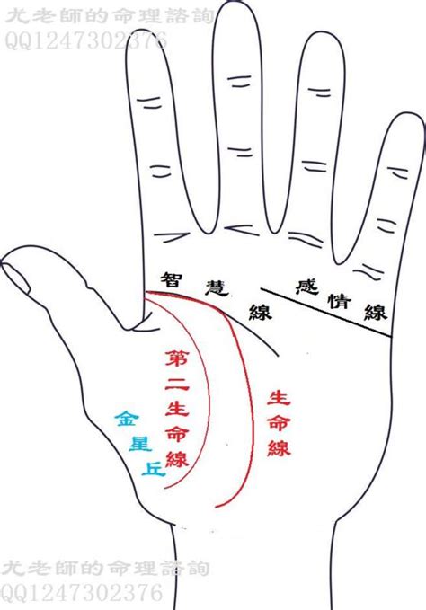 生命線有兩條 59年次生肖